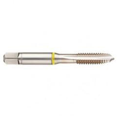 41276 2B 3-Flute Cobalt Yellow Ring Spiral Point Plug Tap-Bright - Exact Tool & Supply