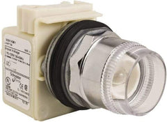 Schneider Electric - 30mm Mount Hole, Extended Straight, Pushbutton Switch Only - Round, Momentary (MO), Weatherproof, Dust and Oil Resistant - Exact Tool & Supply