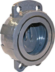 Hayward - 2" PVC Check Valve - Wafer Check Valve, Wafer, 150 WOG - Exact Tool & Supply