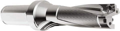 Seco - 70.1mm Max Drill Depth, 3xD, 23.42mm Diam, Indexable Insert Drill - 2 Inserts, 1" Shank Diam, Straight Shank - Exact Tool & Supply