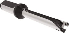 Allied Machine and Engineering - Series 12, 12 to 12.99mm Diam, 3/4" Diam Straight Shank with Flange, Straight Flute Spade Drill - 3-19/32" Max Depth, 6-3/4" OAL, Standard Length, Through Coolant - Exact Tool & Supply