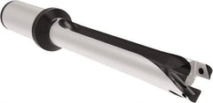 Allied Machine and Engineering - Series 20, 20 to 21.99mm Diam, 1" Diam Straight Shank with Flange, Straight Flute Spade Drill - 8-21/32" Max Depth, 12.4" OAL, Long Length, Through Coolant - Exact Tool & Supply