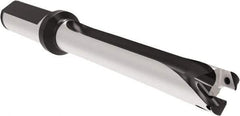 Allied Machine and Engineering - Series 17, 17 to 17.99mm Diam, 20mm Diam Straight Shank with Flange, Straight Flute Spade Drill - 125.9mm Max Depth, 208.9mm OAL, Standard Length, Through Coolant - Exact Tool & Supply