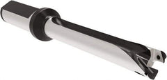 Allied Machine and Engineering - Series 15, 15 to 15.99mm Diam, 3/4" Diam Straight Shank with Flange, Straight Flute Spade Drill - 6.2953" Max Depth, 7.352" Body Length, 9-1/2" OAL, Long Length, Through Coolant - Exact Tool & Supply