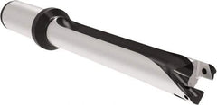 Allied Machine and Engineering - Series 22, 22 to 23.99mm Diam, 25mm Diam Straight Shank with Flange, Straight Flute Spade Drill - 239.9mm Max Depth, 332.2mm OAL, Long Length, Through Coolant - Exact Tool & Supply