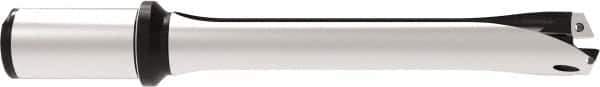 Allied Machine and Engineering - Series 29, 29 to 31.99mm Diam, 32mm Diam Straight Shank with Flange, Straight Flute Spade Drill - 159.9mm Max Depth, 263.7mm OAL, Standard Length, Through Coolant - Exact Tool & Supply