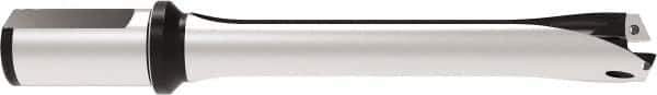 Allied Machine and Engineering - Series 29, 29 to 31.99mm Diam, 1-1/4" Diam Straight Shank with Flange, Straight Flute Spade Drill - 6-19/64" Max Depth, 10.2979" OAL, Standard Length, Through Coolant - Exact Tool & Supply