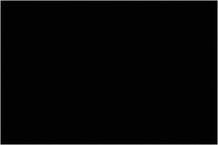 Tape Logic - 6" Long, Black Paper Inventory Labels - For Multi-Use - Exact Tool & Supply