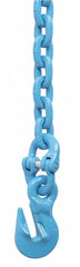 10 ft. Grab Hook Each End Chain Sling, Grade 120 Steel , Number of Sling Legs: 1