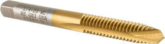 Hertel - 1/4-20 UNC, 2 Flute, TiN Finish, High Speed Steel Spiral Point Tap - Plug Chamfer, Right Hand Thread, 2-1/2" OAL, 3B Class of Fit - Exact Tool & Supply