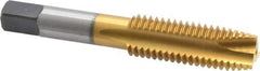 Hertel - 5/8-11 UNC, 3 Flute, TiN Finish, High Speed Steel Spiral Point Tap - Plug Chamfer, Right Hand Thread, 3-13/16" OAL, 3B Class of Fit - Exact Tool & Supply