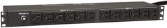 Tripp-Lite - 24 Outlets, 120 VAC30 Amps, 15' Cord, Power Outlet Strip - Rack Mount, 5-15/20R NEMA Configuration, 19" Strip - Exact Tool & Supply