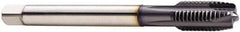 Seco - M18x2.50 Metric, 4 Flute, TiCN Finish, Cobalt Spiral Point Tap - Plug Chamfer, Right Hand Thread, 125mm OAL, 30mm Thread Length, 14mm Shank Diam, 6H Class of Fit - Exact Tool & Supply