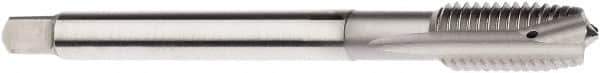 Seco - M16x2.00 Metric, 4 Flute, Bright Finish, Cobalt Spiral Point Tap - Plug Chamfer, Right Hand Thread, 110mm OAL, 63/64" Thread Length, 12mm Shank Diam, 6H Class of Fit - Exact Tool & Supply