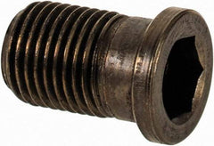 Sandvik Coromant - Torx Plus Cap Screw for Indexables - M2 Thread, Industry Std 5512 090-01, For Use with Assembly Screws - Exact Tool & Supply
