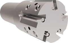 Allied Machine and Engineering - 44.58mm Cut Diam, 32mm Shank Diam, Internal/External Indexable Thread Mill - Multiple Insert Styles, 25.4mm Insert Size, Toolholder Style THP, 101.6mm OAL - Exact Tool & Supply