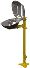 Bradley - Pedestal Mount, Stainless Steel Bowl, Eyewash Station - Exact Tool & Supply