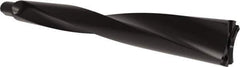 Allied Machine and Engineering - Series APX 70, 10xD, 50mm Shank Diam, Drill Body - 750.3mm Drill Body Length to Flange, W7010H Toolholder, 830.3mm OAL, 750.3mm Drill Body Length, Weldon Flat Shank, Through Coolant - Exact Tool & Supply