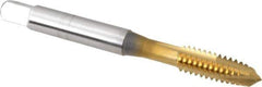 OSG - 1/4-20 UNC, 3 Flute, TiN Finish, High Speed Steel Spiral Point Tap - Plug Chamfer, Right Hand Thread, 2-1/2" OAL, 1" Thread Length, 0.255" Shank Diam, 3B Class of Fit, Series 105 - Exact Tool & Supply