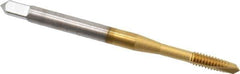 OSG - #5-40 UNC, 2 Flute, TiN Finish, High Speed Steel Spiral Point Tap - Plug Chamfer, Right Hand Thread, 1-15/16" OAL, 5/8" Thread Length, 0.141" Shank Diam, 2B Class of Fit, Series 105 - Exact Tool & Supply