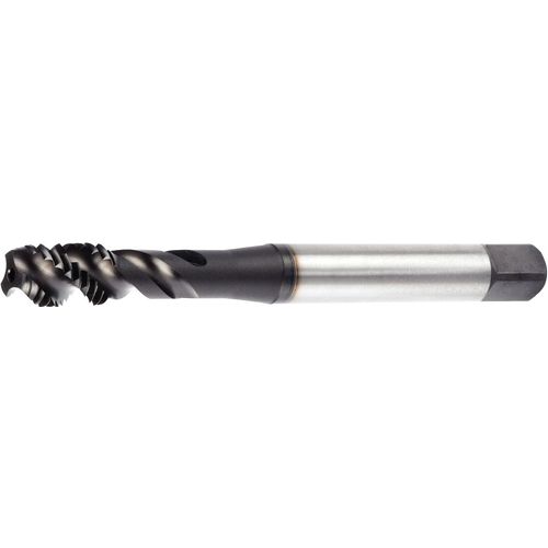 GT335003 M8X1.25 6HX RHSF BOTT 371 - Exact Tool & Supply