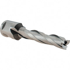 Hougen - 29/64" Diam x 2" Deep High Speed Steel Annular Cutter - Exact Tool & Supply