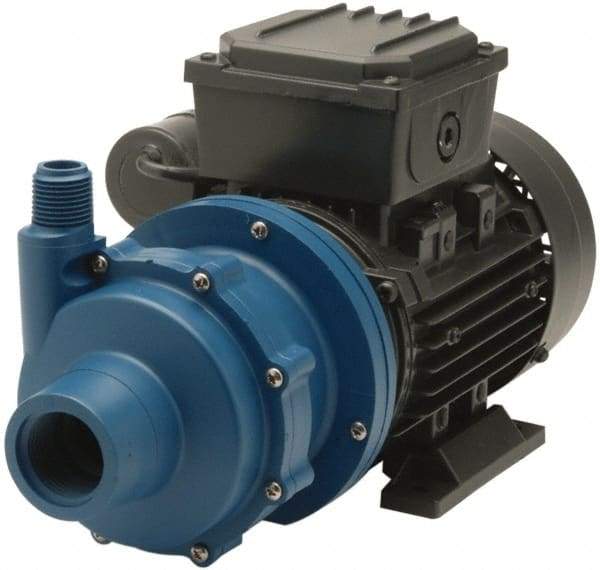 Finish Thompson - Permanent Split Cap Motor, 115 Volt, 2.4 Amp, 1 Phase, 1/4 HP, 3500 RPM, Glass Filled Polypropylene Straight Pump - 1 Inch Inlet, 1/2 Inch Outlet, 12.6 Max Head psi, Glass Filled Polypropylene Impeller, Ceramic Shaft, FKM Seal - Exact Tool & Supply