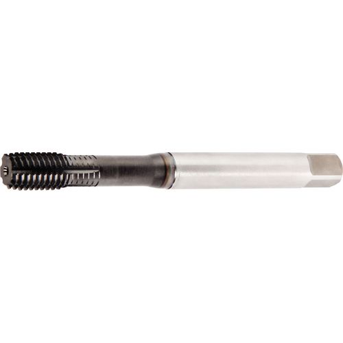 GT235003 M8X1.25 6HX FT SBOT CH2174 - Exact Tool & Supply