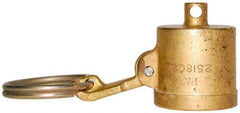 EVER-TITE Coupling Products - 3/4" Brass Cam & Groove Suction & Discharge Hose Dust Cap For Use with Adapters - Part DC, 350 Max psi - Exact Tool & Supply