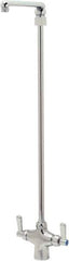 Zurn - Swing Spout/Nozzle, Two Handle, Chrome Plated Single Hole Mount, Laboratory Faucet - Lever Handle - Exact Tool & Supply
