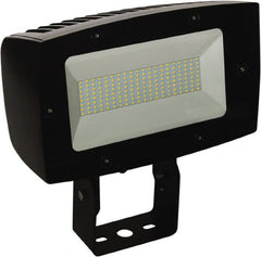 Philips - Floodlight Fixtures Mounting Type: Trunion Mount Housing Color: Bronze - Exact Tool & Supply