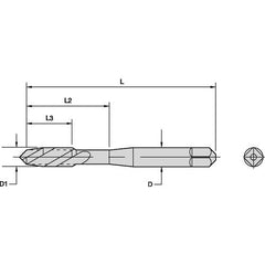 19939 M12X1.75 HS G D6 3F PLUG FT - Exact Tool & Supply