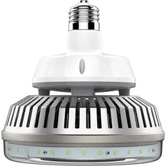 Eiko Global - 115 Watt LED Commercial/Industrial Mogul Lamp - 5,000°K Color Temp, 15,525 Lumens, Shatter Resistant, Ex39, 50,000 hr Avg Life - Exact Tool & Supply