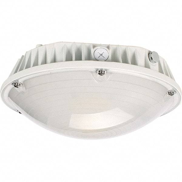 Eiko Global - 40 Watt LED Entry Light - Frosted Polycarbonate Lens, Mogul Base, Pendant & Surface Mount, 120 to 277 Volts, IP65 Ingress Protection, 290mm Long x 114mm High - Exact Tool & Supply
