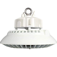 Eiko Global - 1 Lamp, 100 Watts, LED, High Bay Fixture - 11.81" Wide, 120-277 Volt, Steel Housing - Exact Tool & Supply