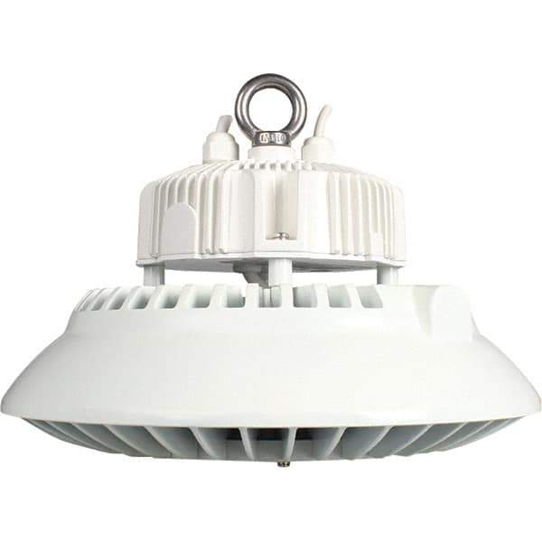 Eiko Global - 1 Lamp, 200 Watts, LED, High Bay Fixture - 250mm High x 11.81" Wide, 120-277 Volt, Steel Housing - Exact Tool & Supply