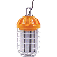 Eiko Global - 1 Socket, 16 Conductor, 120 VAC, 100 Watt, Temporary String Light - 5' SJTW-A Cord, Metal - Exact Tool & Supply