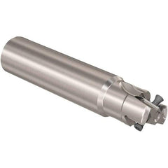 Seco - 25mm Cut Diam, 12mm Max Depth of Cut, 25mm Shank Diam, 170mm OAL, Indexable Square Shoulder Slot Milling End Mill - LOEX12 Inserts, Straight Shank, 90° Lead Angle, Through Coolant, Series 217.94-12 - Exact Tool & Supply