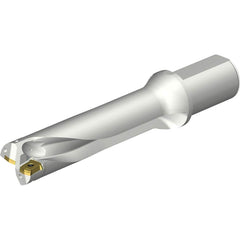 Sandvik Coromant - Indexable Insert Drills; Drill Style: DS20 ; Drill Diameter (mm): 46.00 ; Maximum Drill Depth (mm): 185.28 ; Shank Type: Straight ; Shank Diameter (mm): 50.0000 ; Cutting Direction: Right Hand - Exact Tool & Supply