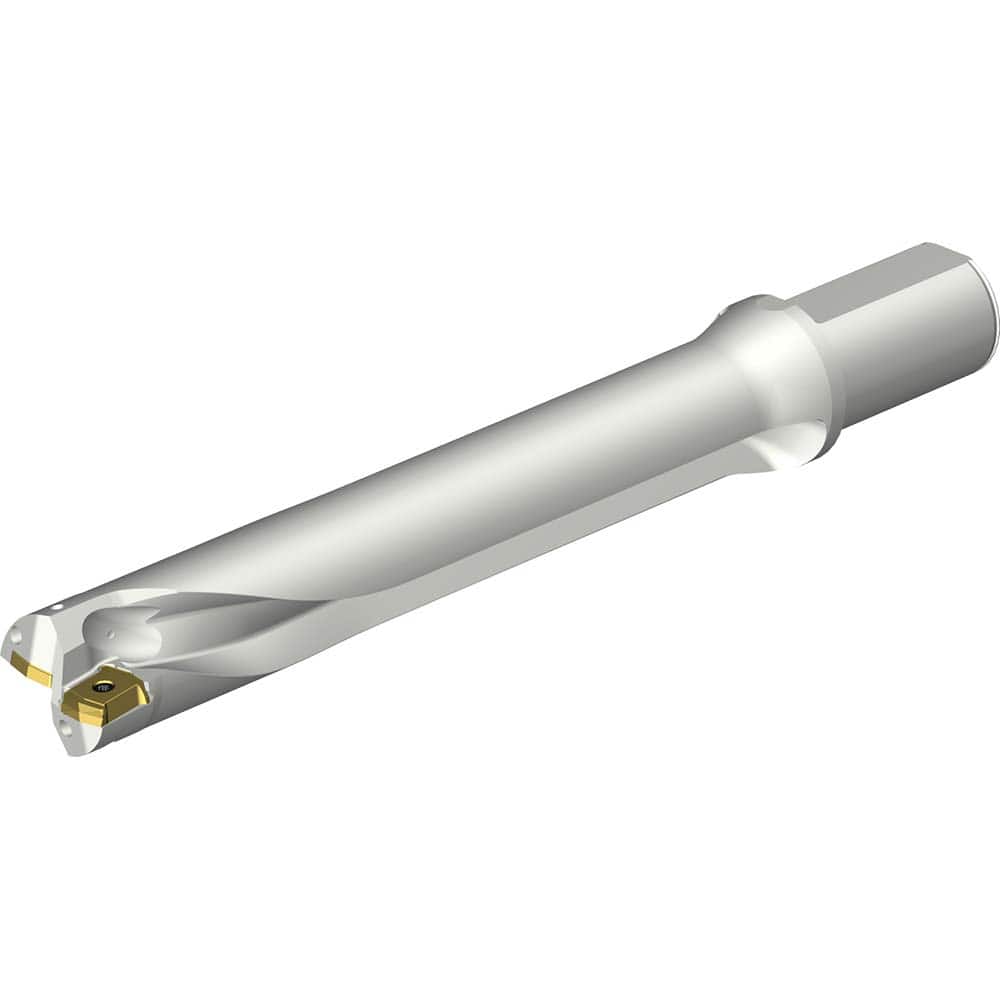 Sandvik Coromant - Indexable Insert Drills; Drill Style: DS20 ; Drill Diameter (mm): 41.00 ; Maximum Drill Depth (mm): 247.28 ; Shank Type: Straight ; Shank Diameter (mm): 40.0000 ; Cutting Direction: Right Hand - Exact Tool & Supply