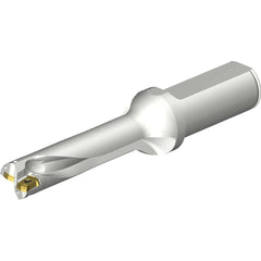 Sandvik Coromant - Indexable Insert Drills; Drill Style: DS20 ; Drill Diameter (mm): 18.50 ; Maximum Drill Depth (mm): 74.56 ; Shank Type: Straight ; Shank Diameter (mm): 25.0000 ; Cutting Direction: Right Hand - Exact Tool & Supply