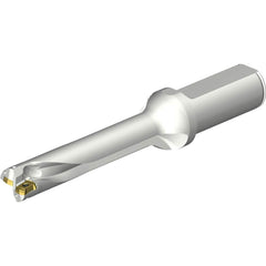 Sandvik Coromant - Indexable Insert Drills; Drill Style: DS20 ; Drill Diameter (mm): 18.50 ; Maximum Drill Depth (mm): 93.56 ; Shank Type: Straight ; Shank Diameter (mm): 25.0000 ; Cutting Direction: Right Hand - Exact Tool & Supply