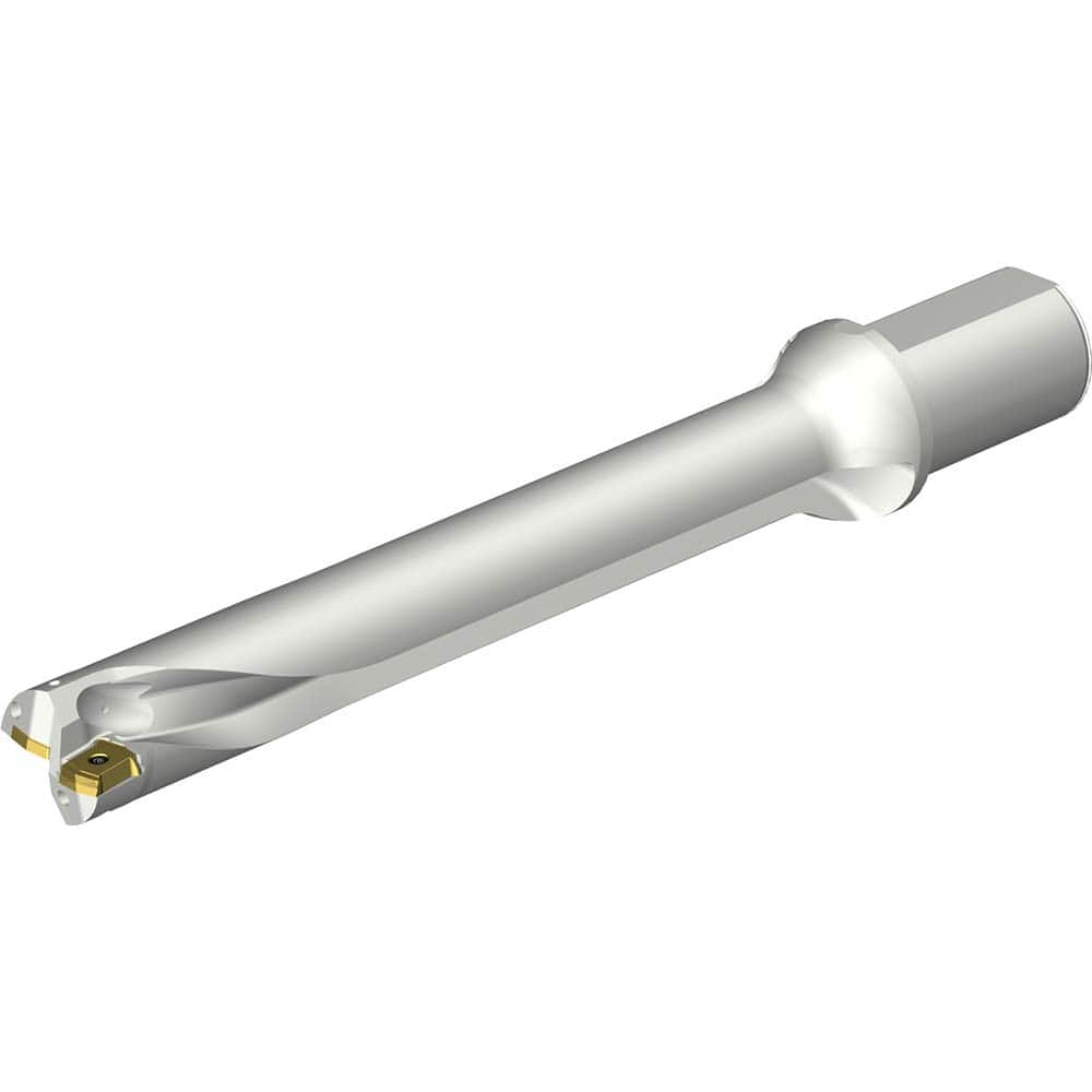 Sandvik Coromant - Indexable Insert Drills; Drill Style: DS20 ; Drill Diameter (mm): 42.00 ; Maximum Drill Depth (mm): 295.28 ; Shank Type: Straight ; Shank Diameter (mm): 50.0000 ; Cutting Direction: Right Hand - Exact Tool & Supply