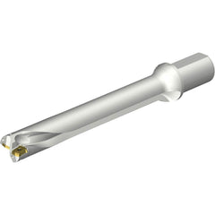 Sandvik Coromant - Indexable Insert Drills; Drill Style: DS20 ; Drill Diameter (mm): 43.00 ; Maximum Drill Depth (mm): 302.28 ; Shank Type: Straight ; Shank Diameter (mm): 50.0000 ; Cutting Direction: Right Hand - Exact Tool & Supply