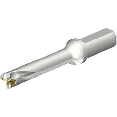 Sandvik Coromant - Indexable Insert Drills; Drill Style: DS20 ; Drill Diameter (mm): 19.50 ; Maximum Drill Depth (mm): 98.56 ; Shank Type: Straight ; Shank Diameter (mm): 25.0000 ; Cutting Direction: Right Hand - Exact Tool & Supply