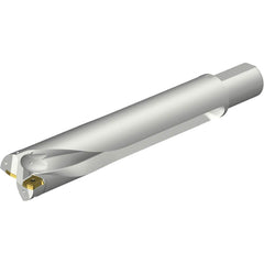 Sandvik Coromant - Indexable Insert Drills; Drill Style: DS20 ; Drill Diameter (mm): 65.00 ; Maximum Drill Depth (mm): 326.59 ; Shank Type: Straight ; Shank Diameter (mm): 50.0000 ; Cutting Direction: Right Hand - Exact Tool & Supply