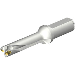 Sandvik Coromant - Indexable Insert Drills; Drill Style: DS20 ; Drill Diameter (mm): 19.50 ; Maximum Drill Depth (mm): 78.56 ; Shank Type: Straight ; Shank Diameter (mm): 25.0000 ; Cutting Direction: Right Hand - Exact Tool & Supply