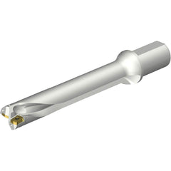 Sandvik Coromant - Indexable Insert Drills; Drill Style: DS20 ; Drill Diameter (mm): 43.00 ; Maximum Drill Depth (mm): 259.28 ; Shank Type: Straight ; Shank Diameter (mm): 50.0000 ; Cutting Direction: Right Hand - Exact Tool & Supply
