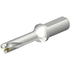 Sandvik Coromant - Indexable Insert Drills; Drill Style: DS20 ; Drill Diameter (mm): 17.50 ; Maximum Drill Depth (mm): 70.47 ; Shank Type: Straight ; Shank Diameter (mm): 25.0000 ; Cutting Direction: Right Hand - Exact Tool & Supply