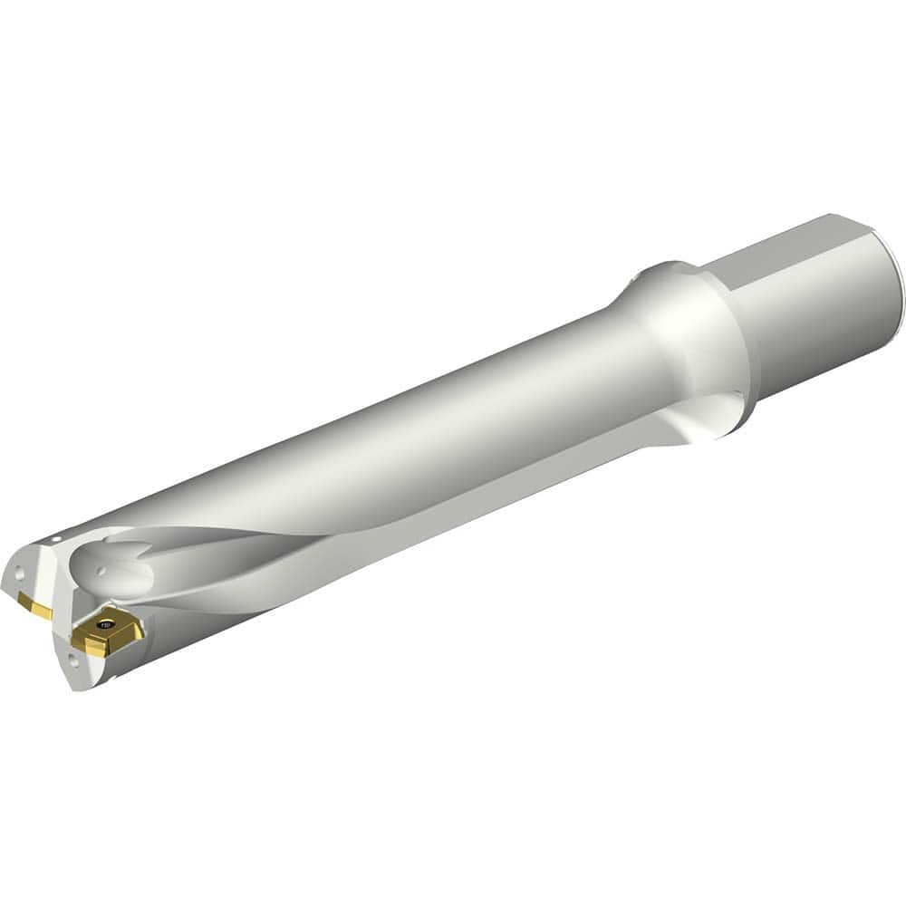 Sandvik Coromant - Indexable Insert Drills; Drill Style: DS20 ; Drill Diameter (mm): 51.00 ; Maximum Drill Depth (mm): 256.28 ; Shank Type: Straight ; Shank Diameter (mm): 50.0000 ; Cutting Direction: Right Hand - Exact Tool & Supply